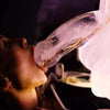 Play molde de hielo pene grande