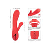 Calexotics palisades passion red