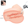 Crazy vagina y ano realísticos doble vibración