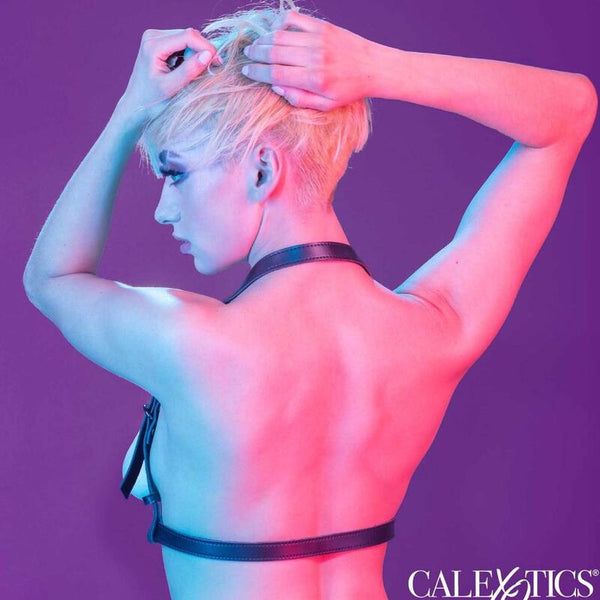 Calexotics euphoria arnés hatler con hebilla negro