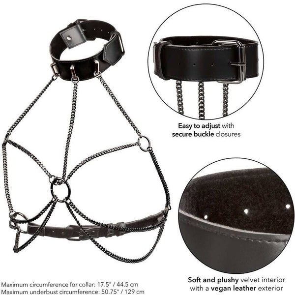 https://dreamlove.gesio.be/productos/imagenes/img_173083_a2539821ffcbd794101ca73abff779d1_1.jpg