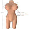 Armony torso femenino realístico modelo 6