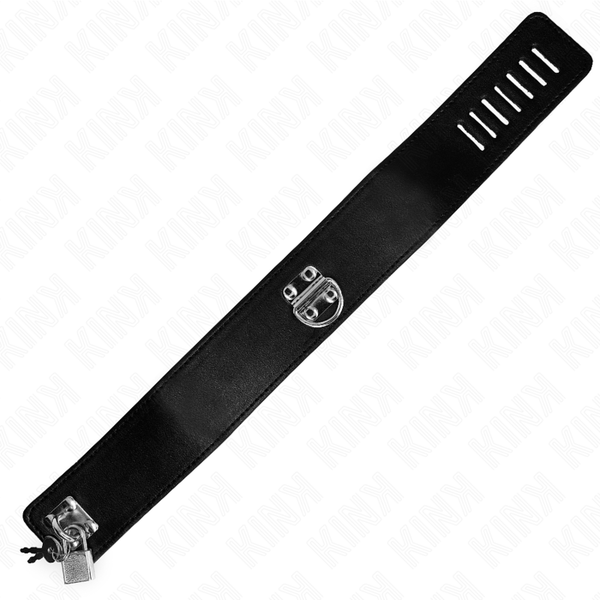Kink collar con correa 116 cm modelo 2 ajustable 36 43 cm x 5 cm