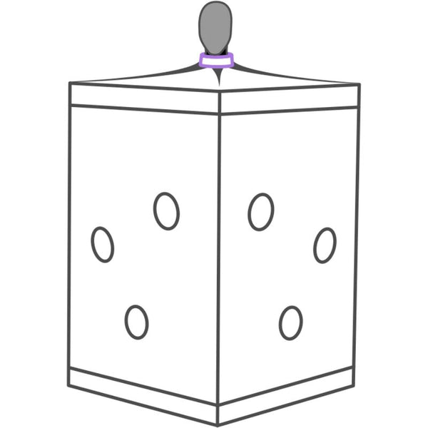 Secret kink club cabina scandale morado
