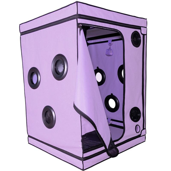 Secret kink club cabina scandale morado