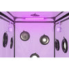 Secret kink club cabina scandale morado