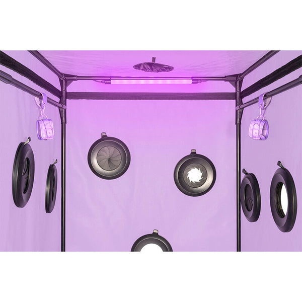 Secret kink club cabina scandale morado
