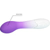 Bishop vibrador Punto G 30 vibraciones morado