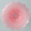Pretty athena alice masturbador masculino rosa