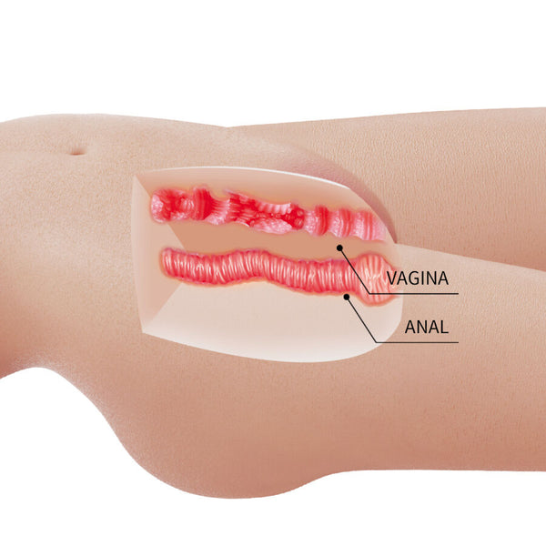 Crazy mia torso femenino realista vagina y anal 8.5 kg