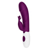 PRETTY LOVE - ROGUE MUSE VIBRADOR RABBIT 30 FUNCIONES MORADO