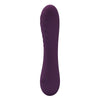 PRETTY LOVE - ALEXISROSE VIBRADOR RECARGABLE 10 FUNCIONES MORADO