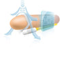 Andro extensor pene