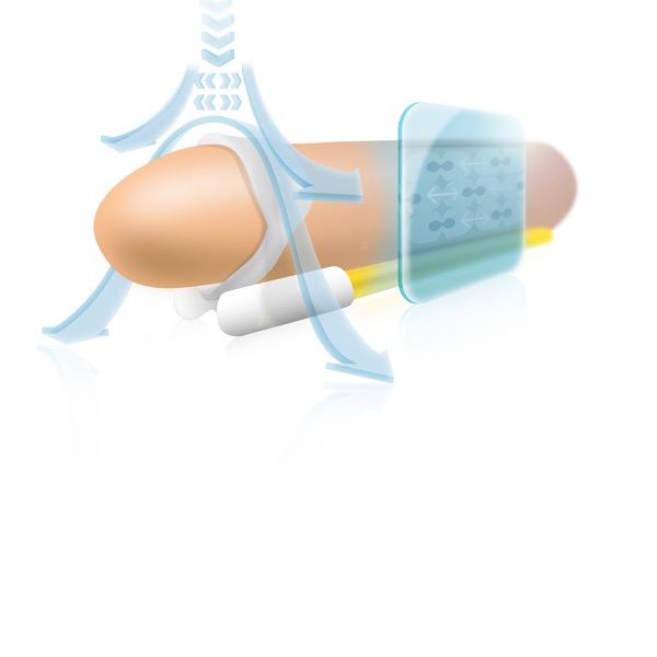 Andro extensor pene