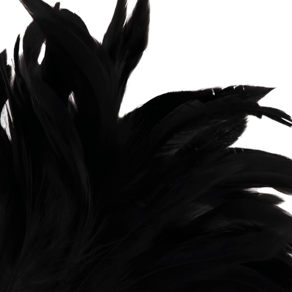 Pluma estimuladora negro lux