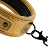 Fetish collar con cadena con forro de neopreno 2