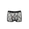 Passion 032 short james negro