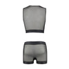 Passion 053 set william negro l xl