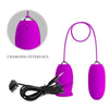 Daisy huevo dual vibrador recargable morado