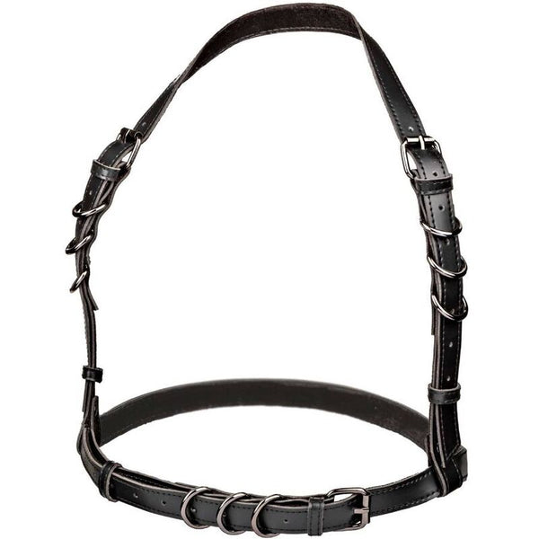 https://dreamlove.gesio.be/productos/imagenes/img_173028_7f244f18e84928b345abbc3cd10fa5d8_1.jpg