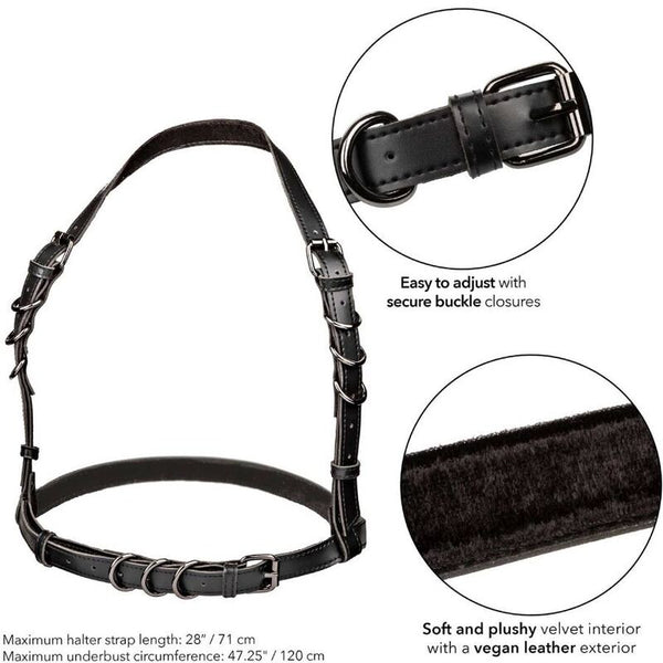 Calexotics euphoria arnés hatler con hebilla talla grande negro
