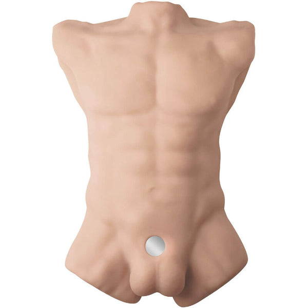 Silexd apollo l torso realístico masculino