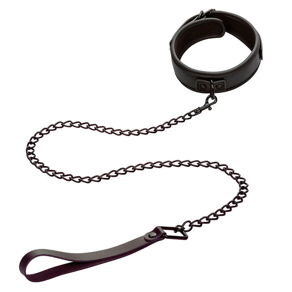 Calexotics nocturnal collar y correa cuero ajustable negro