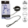 Calexotics nocturnal collar y correa cuero ajustable negro