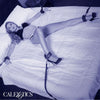 Calexotics nocturnal restricciones de cama cuero ajustable negro