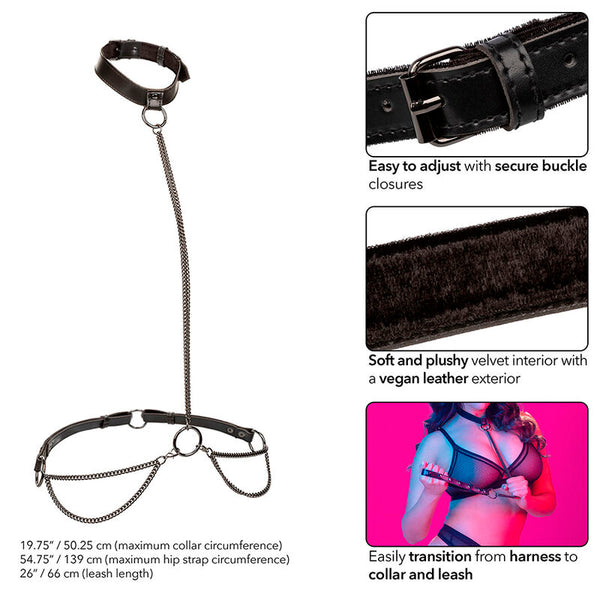 Calexotics euphoria collar halter y correa con cadena talla plus