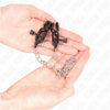 Kink pinzas para pezones planas negro con cadena plateado 30 cm
