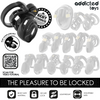 Addicted eternal lock jaula para pene 9 cm
