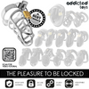 Addicted silver lock jaula para pene de metal talla m
