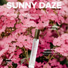 Eye bloom perfume femenino sativa sunny daze 10 ml