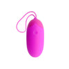 Pretty egg berger control remoto 12 v