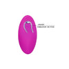 Pretty egg berger control remoto 12 v