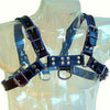 Leather arnés cuero azul y negro chest bulldog