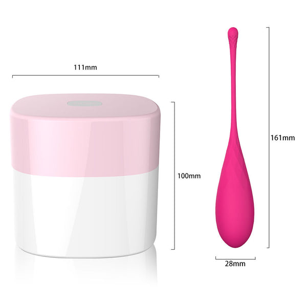 Leslie kegel fit entregador suelo pelvico 6 pesos