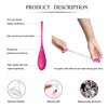 Leslie kegel fit entregador suelo pelvico 6 pesos