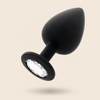PLUGS ANALES