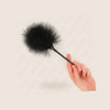 PLUMAS